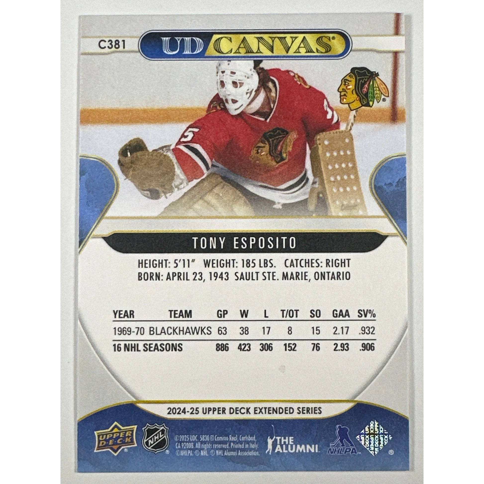 2024-25 Upper Deck Extended Series Tony Esposito UD Canvas Legends | Local Legends Cards & Collectibles