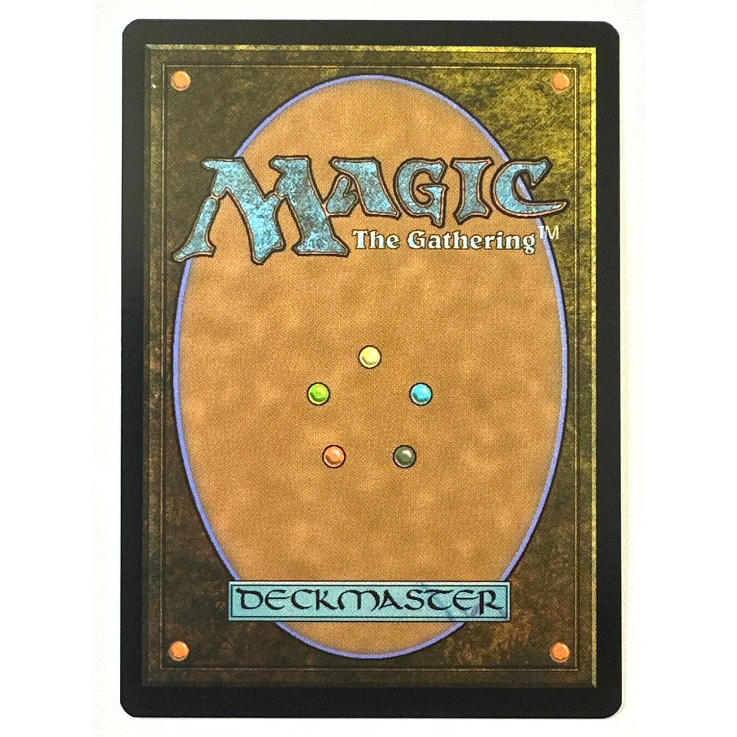 2023 MTG Basic Land Forest 281 | Local Legends Cards & Collectibles
