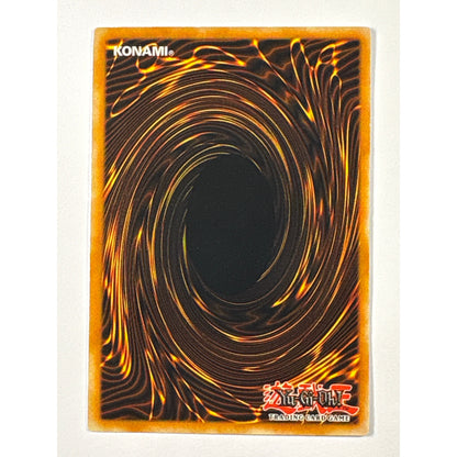 Black Lustre Soldier -Envoy Of The Beginning Collectors Rare TOCH-EN029 | Local Legends Cards & Collectibles