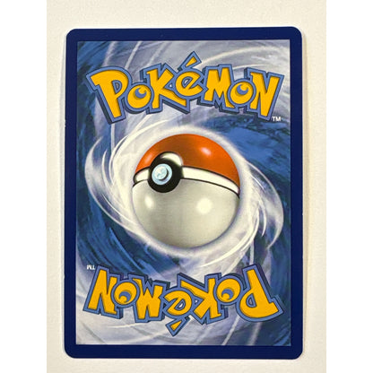 Charizard ex Holo Double Rare 125/197