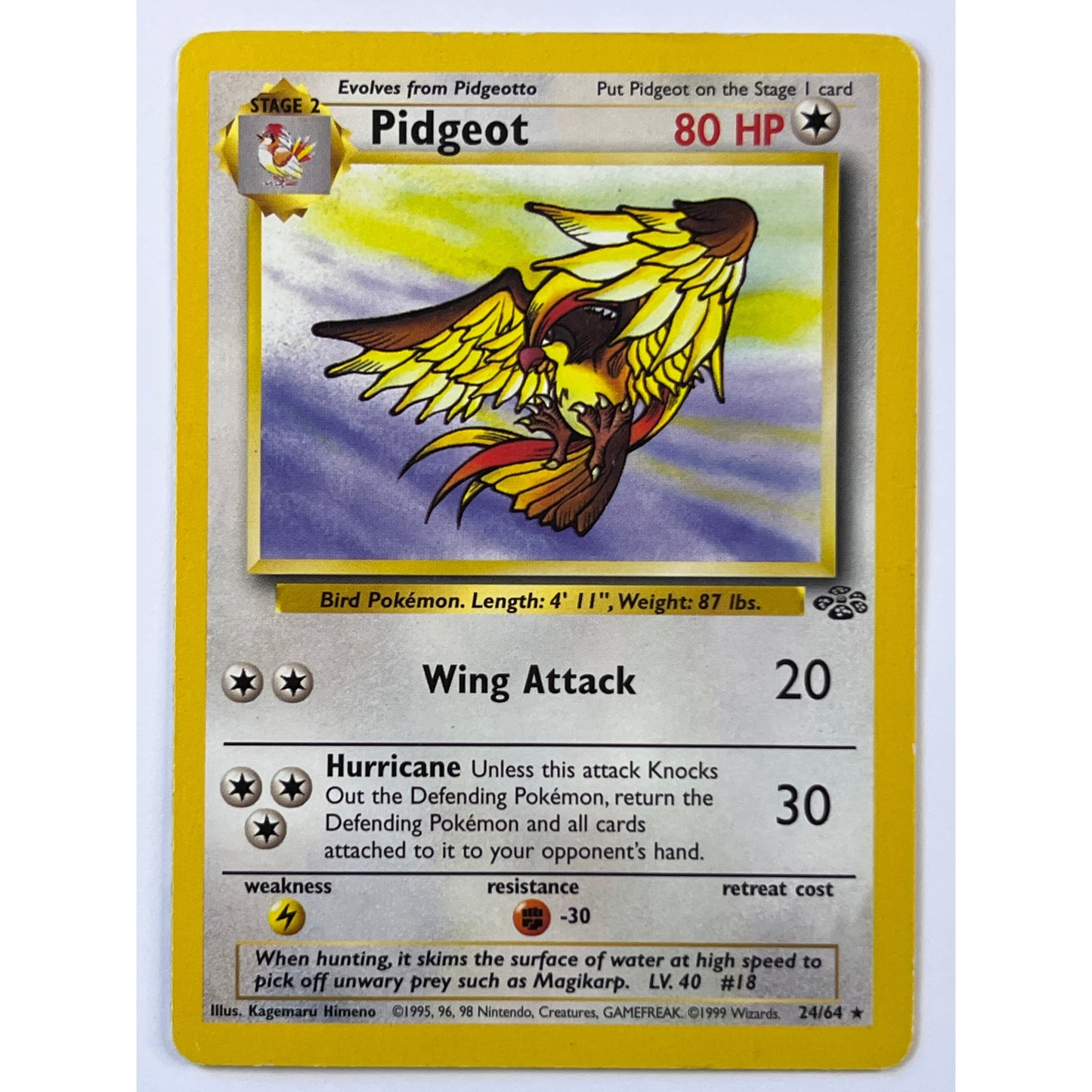 Pidgeot Non Holo Rare 24/64