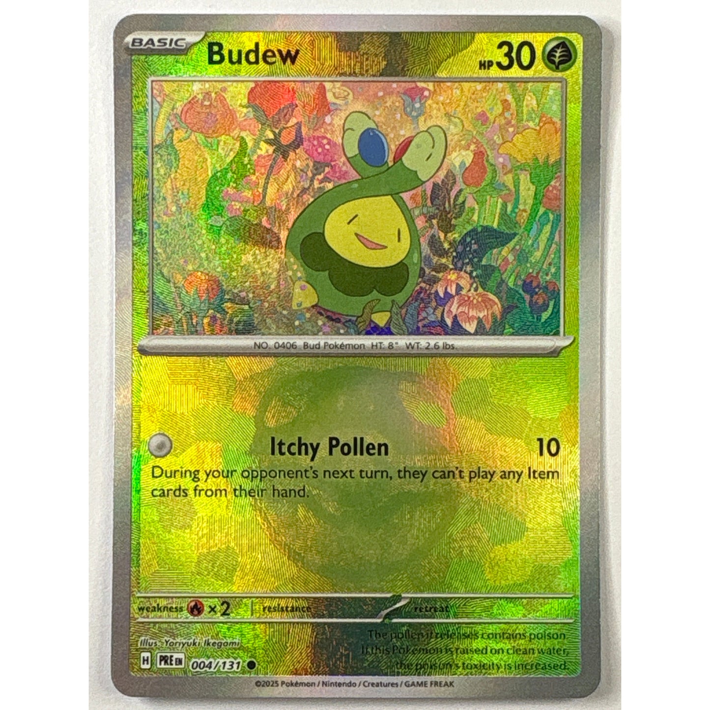 Budew Masterball Holo Common 004/131 | Local Legends Cards & Collectibles