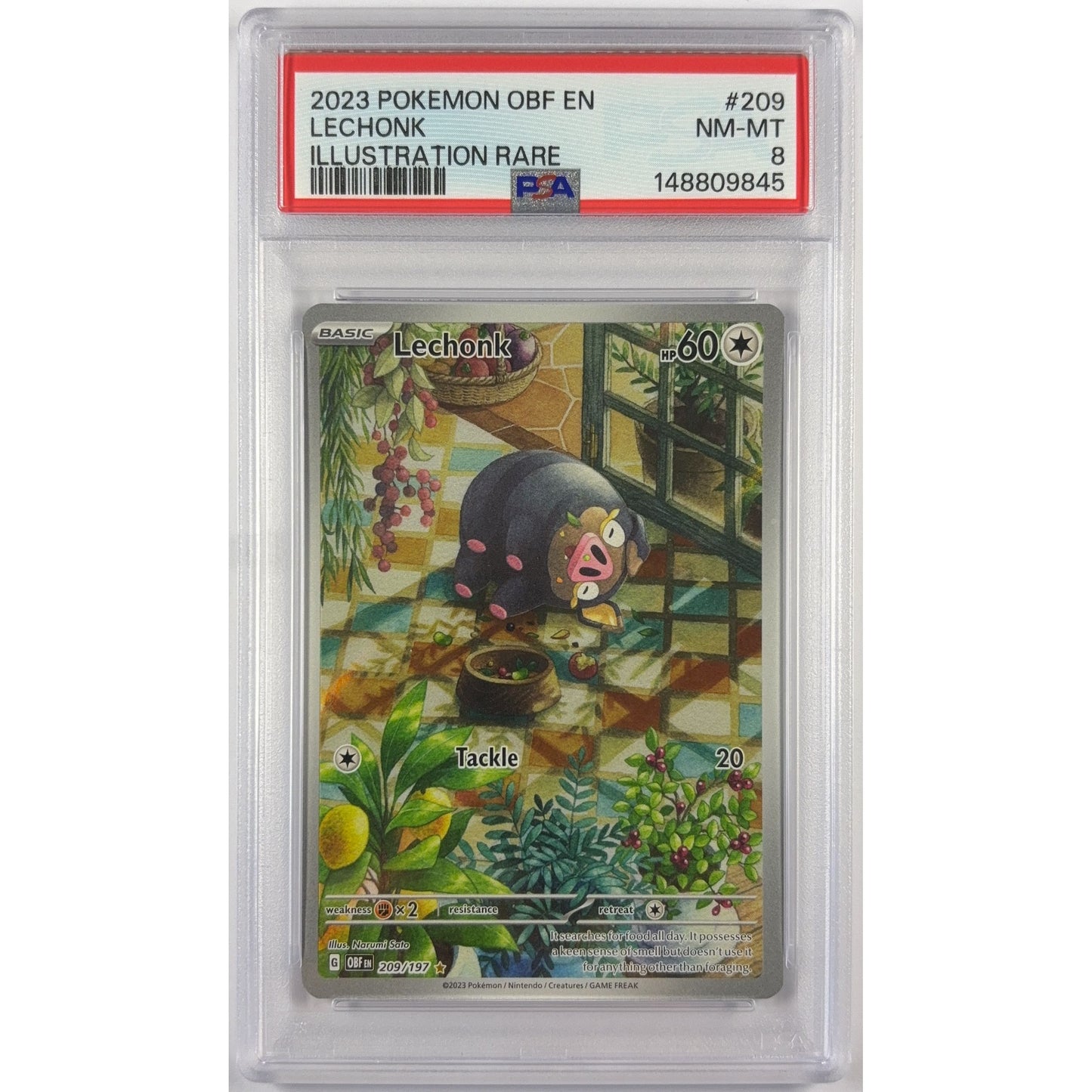 Lechonk Holo Illustration Rare 209/197 PSA 8 NEAR MINT - MINT