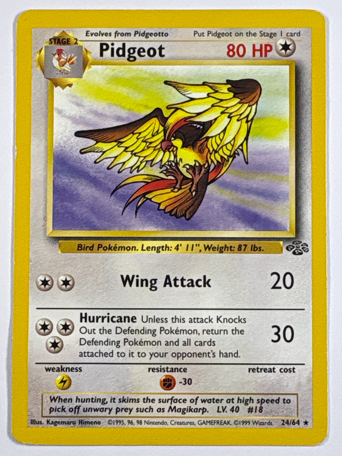 Pidgeot Non Holo Rare 24/64
