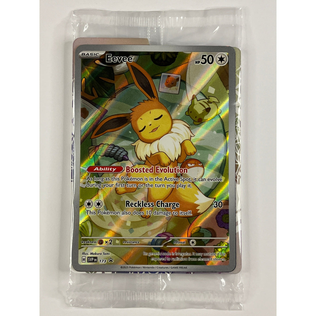 Eevee Holo Black Star Promo 173 | Local Legends Cards & Collectibles