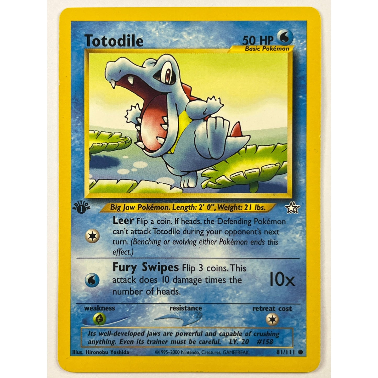 1st Edition Totodile Non Holo Common 81/111