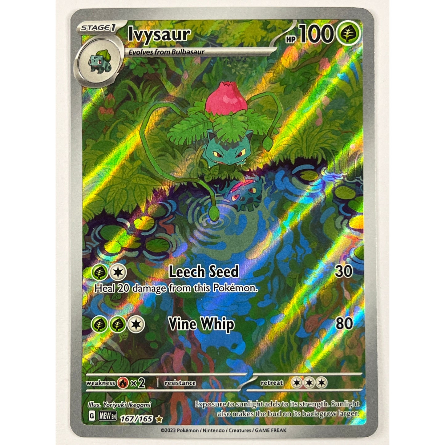 Ivysaur Holo Illustration Rare 167/165