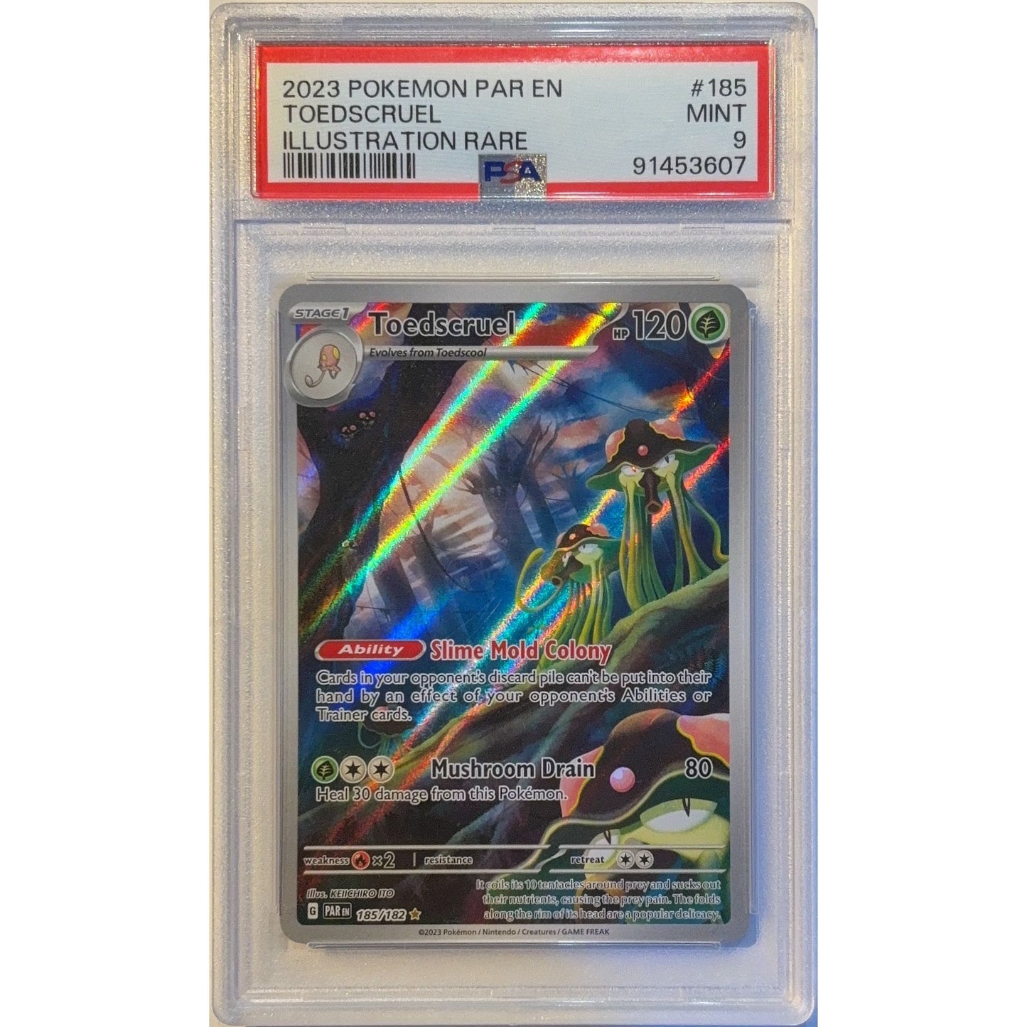 Toedscruel Holo Illustration Rare 185/182 PSA 9 MINT | Local Legends Cards & Collectibles
