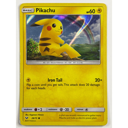 Pikachu Holo Common 28/73