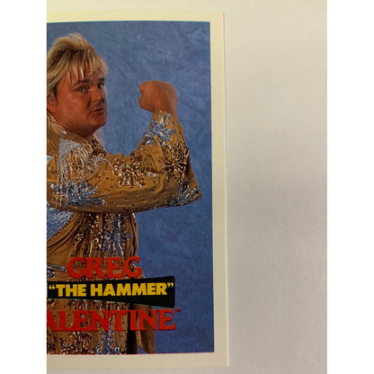 1990 Titan Sports Greg “The Hammer” Valentine