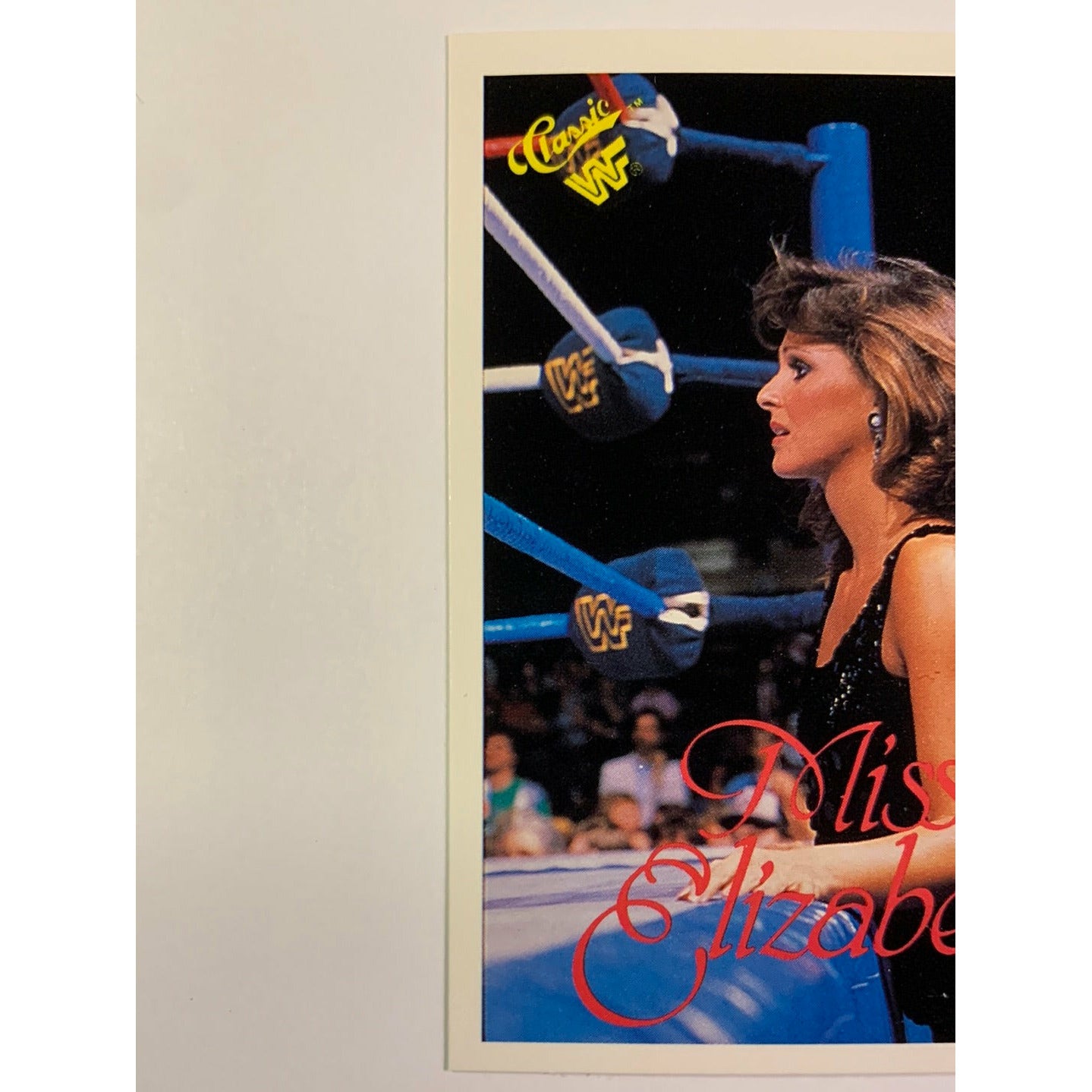 1990 Titan Sports Miss Elizabeth