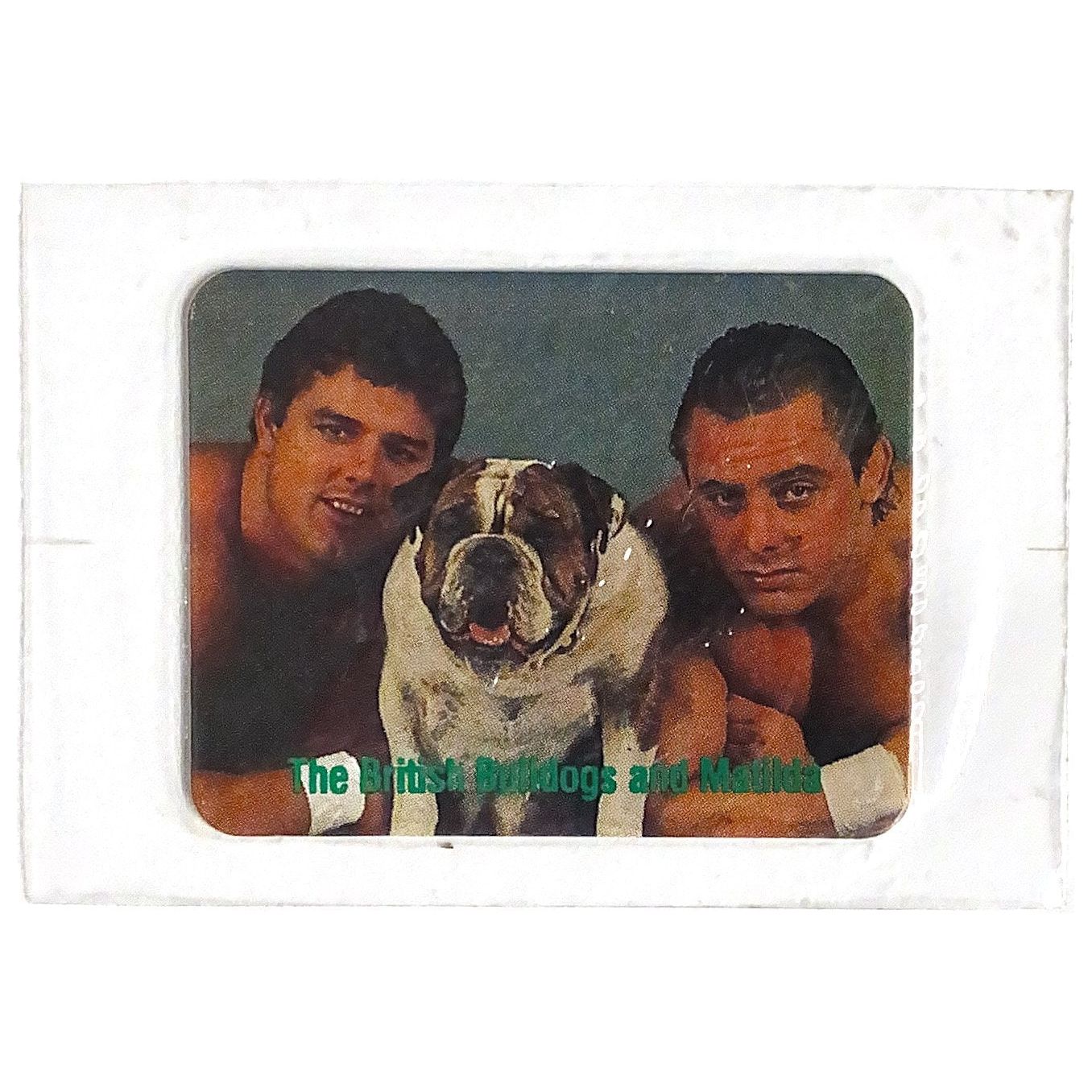  1988 Borden Titan Sports WWF The Tag Team of the Year British Bulldogs and Matilda  Local Legends Cards & Collectibles