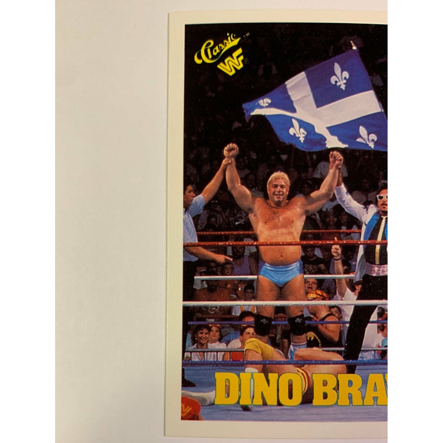 1990 Titan Sports Dino Bravo