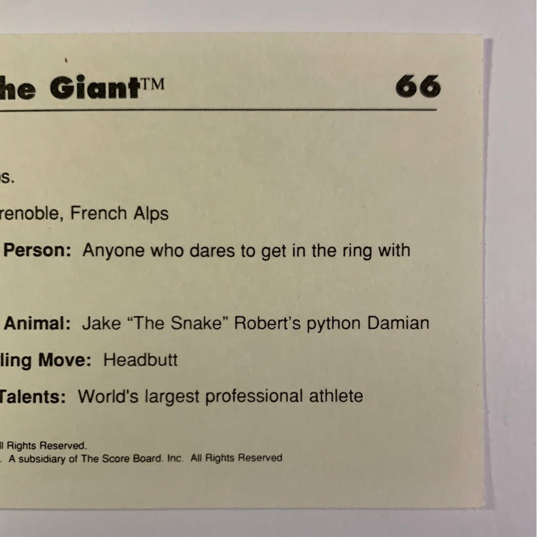 1990 Titan Sports André The Giant