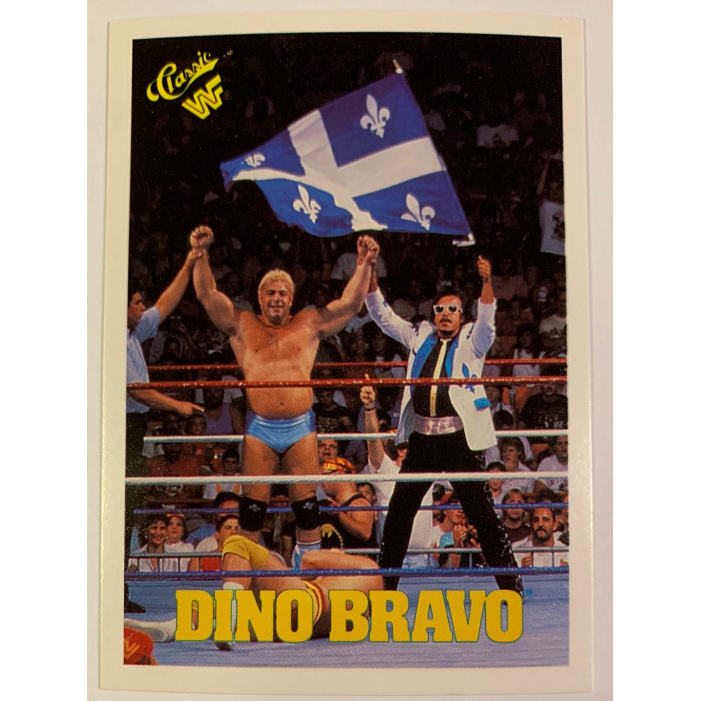 1990 Titan Sports Dino Bravo